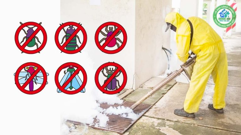 Dịch vụ diệt muỗi tại Hà Giang